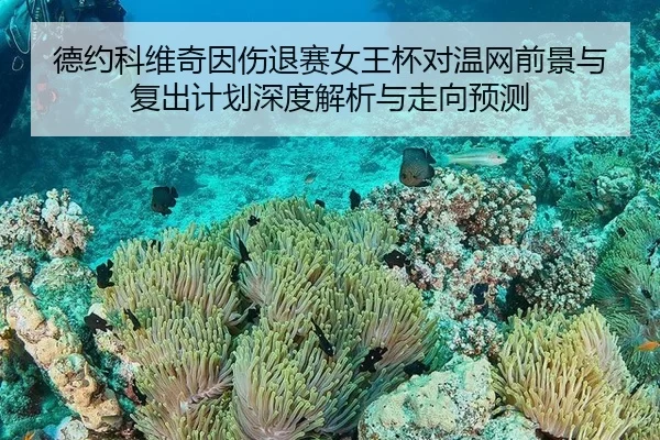 de-yue-ke-wei-qi-yin-shang-tui-sai-nv-wang-bei-dui-wen-wang-qian-jing-yu-fu-chu-ji-hua-shen-du-jie-xi-yu-zou-xiang-yu-ce-2-249.jpg
