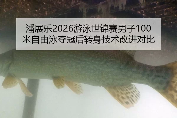潘展乐2026游泳世锦赛男子100米自由泳夺冠后转身技术改进对比