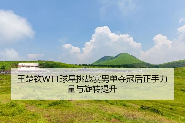 wang-chu-qin-qiu-xing-tiao-zhan-sai-nan-dan-duo-guan-hou-zheng-shou-li-liang-yu-xuan-zhuan-ti-sheng-2-270.jpg